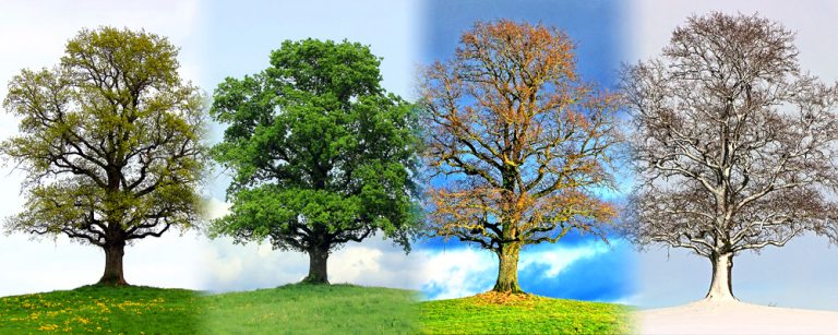 Proces zmiany – jak przebiega i co ma wspólnego z tworzeniem zespołu?