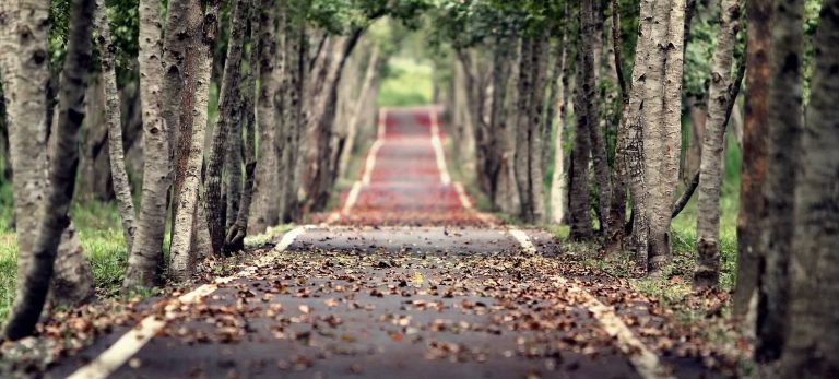 Jak odkryć, co chcę robić w życiu? 10 wskazówek, by odkryć pomysł na siebie